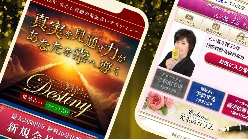 電話占いデスティニースクリーンショット
