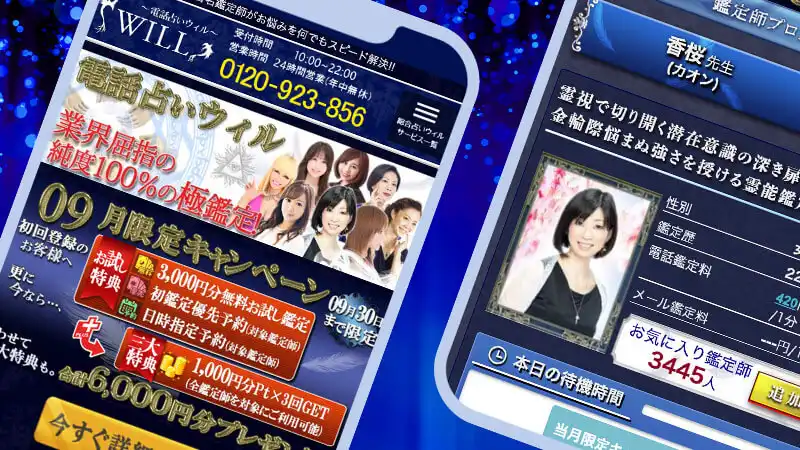 電話占いウィルスクリーンショット